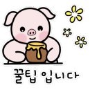 조개대가 이미지