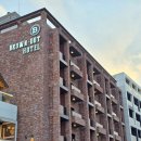 브라운도트호텔강릉경포점 | 강릉 브라운도트호텔 경포 오션디럭스트윈 내돈내산 솔직후기