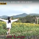 강원철원-SBS 런닝맨 고석정꽃밭 이미지