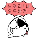 김씨네오징어보쌈 이미지