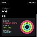 환진