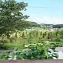 해뜨는집펜션 이미지