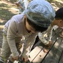 해보어린이집 이미지