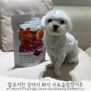 왈왈키친 | 알로키친 강아지화식 사료 슬림캥거루 먹는방법 첫자연식 강아지음수량 솔직후기