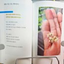 (찾아가는) 마음치유 시낭송 | 『안녕한 날들의 기록』 손은수 작가님 포토 에세이 북콘서트 후기 (ft. 샐리의 책방)