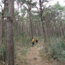 완도청소년 수련원 | 전라남도 완도 오봉산(五峰山)/상황봉(644m),백운봉(600m), 업진봉(544 m), 숙승봉(461m)쉼봉(598m)