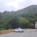 돌담과 초록 이미지