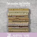 자연의 기억 이미지