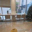 다교 청담점
