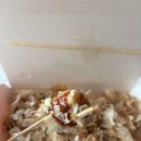 타코붐 타코야끼 더 블랙 탁호 띠부씰 10종 완성