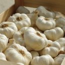 임고농업협동조합 이미지