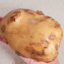 요즘 제철 감자요리(감자전) 이미지
