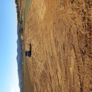 상서농장 이미지