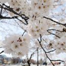 포토인 - 마포구 월드컵북로 132 | 포토인