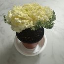 유아 미술놀이터 이미지