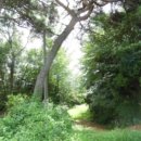 본당리마을회관 이미지