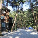 솔밭캠프장 이미지