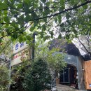 시골촌닭구이 | 춘천 여행 중 들른 정겨운 시골 분위기 오리구이 맛집, 촌닭집 후기