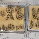 희망을키우는농부 귤이네 이미지