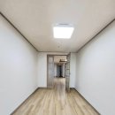 렉스텔 이미지