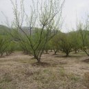 우성농장 이미지