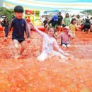 수정벌마야 네이버블로그