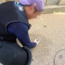 네오디자인 네이버블로그