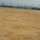 고양대덕야구장 이미지