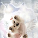 뭉개뭉개 이미지