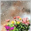 우리단비랑 이미지