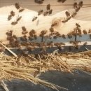 이준 농장 이미지