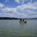 산천초목 이미지