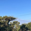 그마그로 이미지