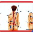 피트니스 209 이미지