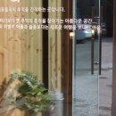 릴리펫 이미지