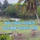 마린파크 동물병원 | 발리 사파리 마린파크 아이와 가볼만한곳 추천!