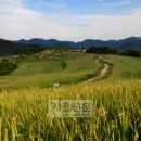 허브랜드 민박 이미지