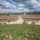 나리cafe’ 이미지