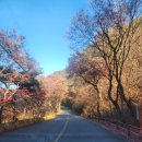 (주)원주상회 이미지