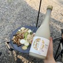 안성 내츄럴리조트 | 애견 동반 캠핑장 내츄럴리조트애견캠핑장 후기 /서울근교 경기도 안성 / 캠핑준비물