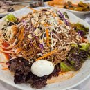 한스 강아지방 이미지