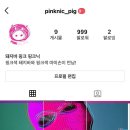 핑크돼지푸드 파이낸셜뉴스