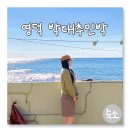 박대추민박 이미지