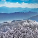 청태산 자연속으로 이미지