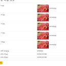 20260316 파일 종류 출력 이미지