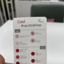 컬러예보 | 강남 웨딩 퍼스널컬러 '컬러예보' 에서 받은 그룹 웨딩 컨설팅 후기- 겨울 쿨톤 확정!