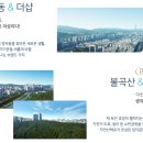 분당-363 이미지