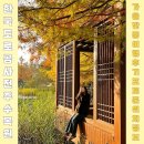 번영로L | 한국도로공사 전주 수목원 l 가을 단풍 여행 후기 포토존 위치 정보