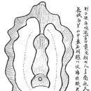 제41차 한국자생풍수지리학회간산안내(‘11년8월21일) 이미지