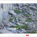 산골짜기 이미지